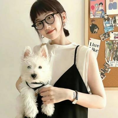 寻梦好莱坞